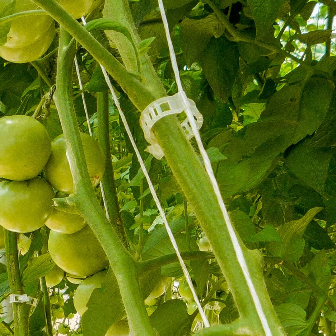 Accesorios Agricultura Protegida