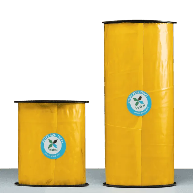 Sticky Roll 30 cm x 100 m — Trampa Adhesiva Paskal