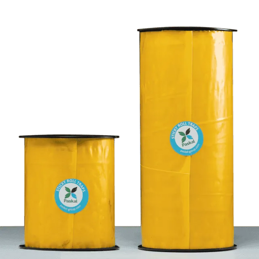 Sticky Roll 30 cm x 100 m — Trampa Adhesiva Paskal