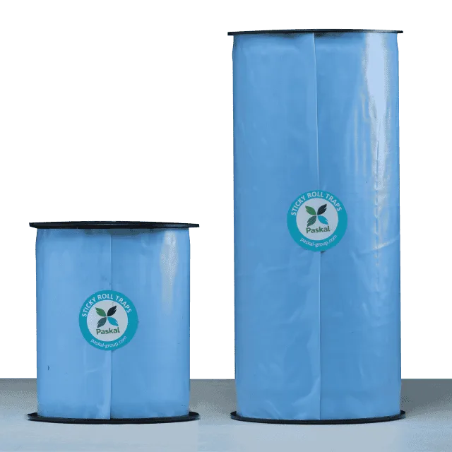 Sticky Roll 30 cm x 100 m — Trampa Adhesiva Paskal