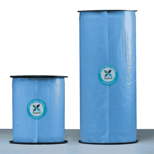 Sticky Roll 30 cm x 100 m — Trampa Adhesiva Paskal