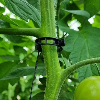 Clip Optima para Tutoreo 23 mm Negro — Paskal