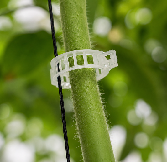 Clip Tomatero para Tutoreo 23 mm — GD Plastics