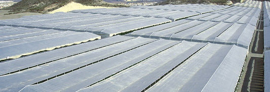 Plástico Durasol para Invernadero — Solplast